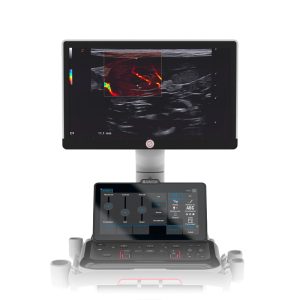 Ultrassom MyLab Fox