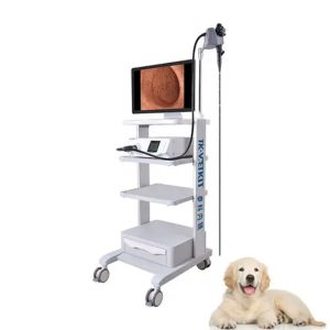 All in one sistema de endoscópio veterinário
